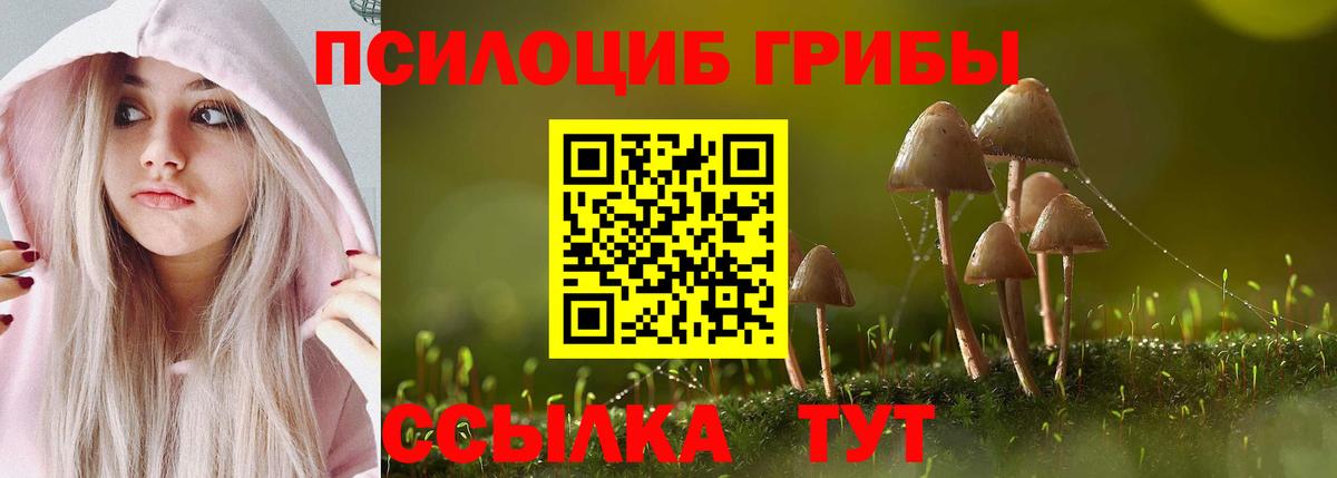 Верхняя Пышма  Псилоцибиновые грибы Psilocybine cubensis  Псилоцибиновые грибы Magic Shrooms  Вход с VPN 