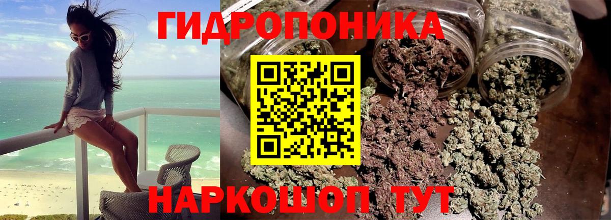 Конопля White Widow Верхняя Пышма
